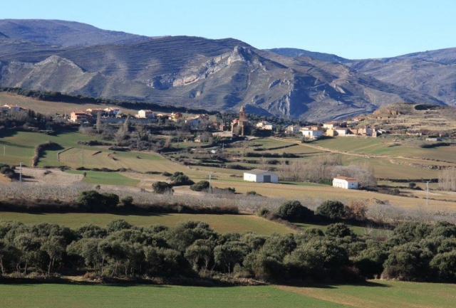  ocon valley 